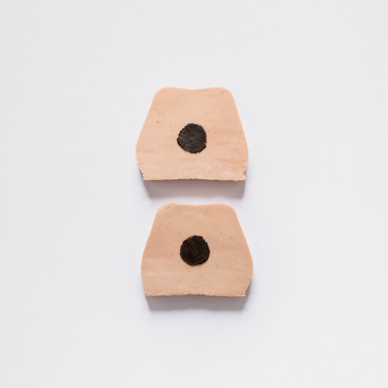 Foie gras d'oie truffé 3% 2 tranches - 120g