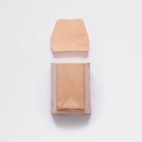 Foie gras d'oie au Gewurztraminer Vendanges Tardives 2 tranches - 120g