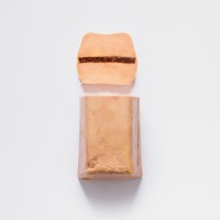 Foie gras de canard à la figue - 350g